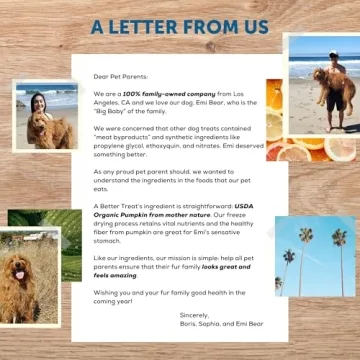 Freeze Dried Organic Pumpkin Dog and Cat Treats Made in USA