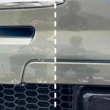 3D Bug Remover - All Purpose Cleaner for Vehicles