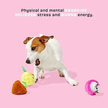 Barkbox Dog Toys – Fruity Cutie Tropical Trio Squeaker Ball Interactive Chew Toys – Durable & Tough Tennis Balls, Training, Exercise & Beating Boredom – Stimulating Plush, Small