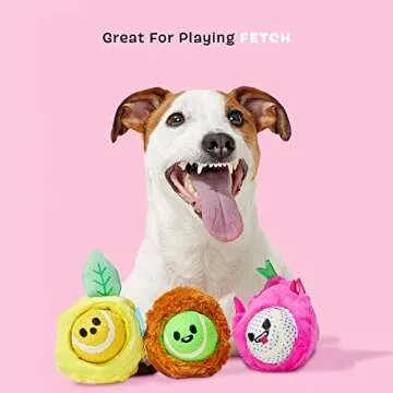 Barkbox Dog Toys – Fruity Cutie Tropical Trio Squeaker Ball Interactive Chew Toys – Durable & Tough Tennis Balls, Training, Exercise & Beating Boredom – Stimulating Plush, Small