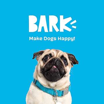 Barkbox Dog Toys – Fruity Cutie Tropical Trio Squeaker Ball Interactive Chew Toys – Durable & Tough Tennis Balls, Training, Exercise & Beating Boredom – Stimulating Plush, Small