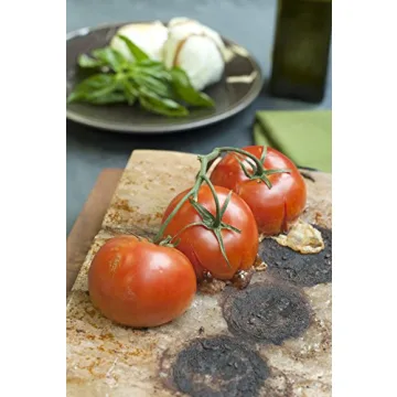 Charcoal Companion CC6064 Himalayan Salt Plate & Holder Set, 12" x 8" x 1.5", Black