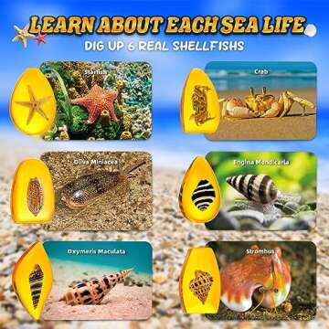 GobiDex Sea Life Amber Dig Kit, Educational Fun Toys STEM Activities Science Kits for Kids Age 6-8-1...