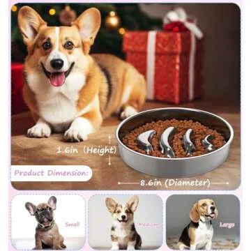 Codsmol Slow Feeder Dog Bowls for Healthy Eating