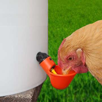 Cruzadel Automatic Chicken Drinker Cups, Clean Water Dispenser for Any Breed of Poultry (Pack of 12)