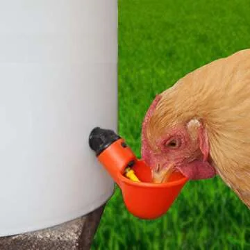Cruzadel Automatic Chicken Drinker Cups for Poultry Care