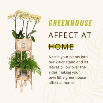 KOUBOO Rattan Two-Tier Plant Stand for Indoor Decor