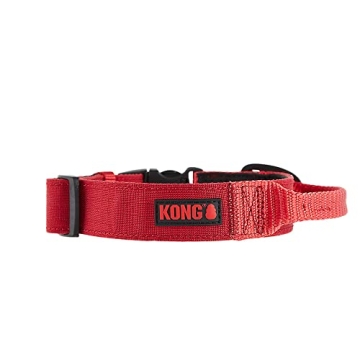 KONG Ultra Durable Padded Comfort Handle Dog Collar - Perfect for Training & Control (Medium, Red)