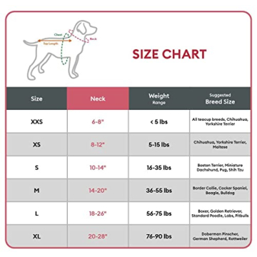 Durable KONG Padded Dog Collar with Handle