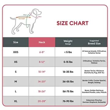 Durable KONG Padded Dog Collar with Handle