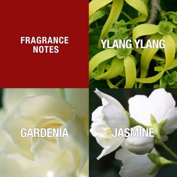 Paul Sebastian DESIGN Floral Perfume for Women Spray