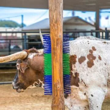 LAIAMER Livestock Scratch Brushes, Horse Scratcher Cow Scratcher Grooming Horse Supplies with Screws, Relieve Itchy Livestock Back Massage Brush for Goat, Pigs and Other Livestock