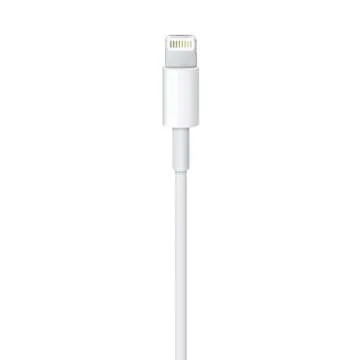 Apple Lightning to USB Cable (1 m) ​​​​​​​