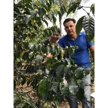 Finca El Alisal Ecuador Coffee Special Edition Whole Bean Roasted Nucallacta