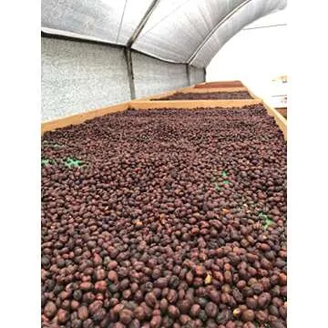 Special Edition Whole Bean Ecuador Coffee - Nucallacta