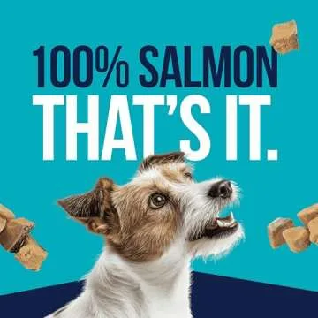 Natural Salmon Dog Treats - Perfect for Training & Health