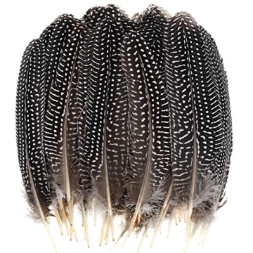 Dxhycc 50 Pcs Natural Spotted Feathers for Crafting & Decorating