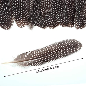 Natural Spotted Feathers for DIY Crafts 50 Pcs