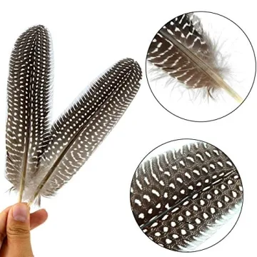 Natural Spotted Feathers for DIY Crafts 50 Pcs