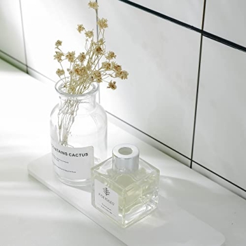 NiuYichee 2 PCS Diatomaceous Earth Coasters for Home