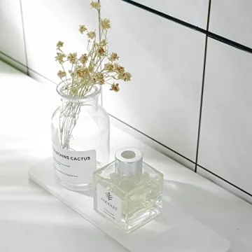 NiuYichee 2 PCS Diatomaceous Earth Coasters for Home