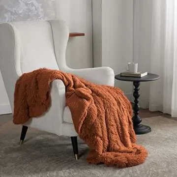 Bedsure Fluffy Burnt Orange Throw Blanket Gifts for Women, Men, Soft Fleece Cozy Fuzzy Sherpa Plush Warm Thick Faux Fur Throws for Couch, Fall Terracotta Orange Decor Spring Blanket Gifts for Her