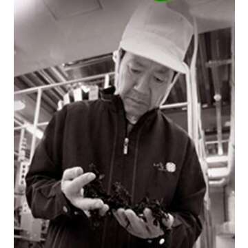 Black Label Gourmet Organic Roasted Seaweed Snack, 0.15 Ounce (Pack of 16)