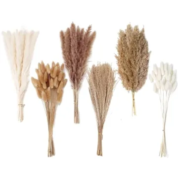 Dried Pampas Grass Decor, 120 PCS Pampas Grass with Bunny Tails, Reed Grass Bouquet for Wedding, Boh...