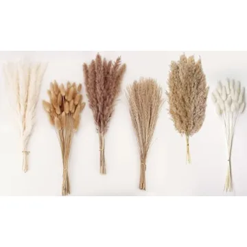 Dried Pampas Grass Decor Set 120 PCS for Home Weddings
