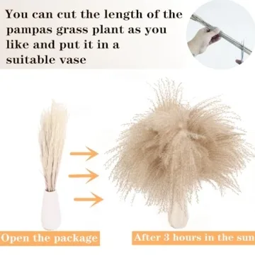 Dried Pampas Grass Decor Set 120 PCS for Home Weddings