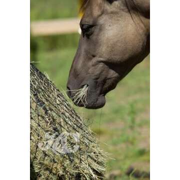 Hay Chix Hay Net for Horses | Slow Feed Hay Bag Feeder | Marine-Grade UV Treated Nylon | Holds 4-6 Flakes | Half Bale Net | 1 3/4" Holes | Cosmic Cowgirl Rope Color