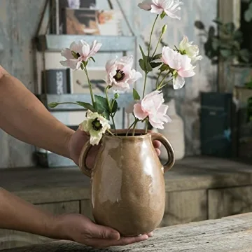 Tanvecle Brown Ceramic Vase for Elegant Home Decor