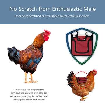 Thungeek 3 Pieces Premium Chicken Saddles with Stretchy Strap, Hen Saddle Sweater Clothes, Birds Protector for Back and Sides, Poultry Accessories for Hens, Suitable for 5-7.6lbs, Red & Blue & Purple