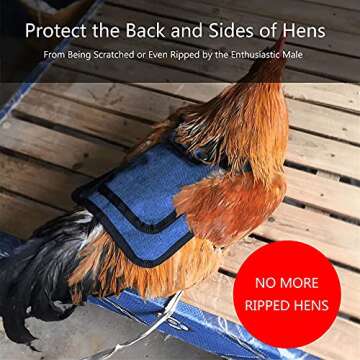 Thungeek 3 Pieces Premium Chicken Saddles with Stretchy Strap, Hen Saddle Sweater Clothes, Birds Protector for Back and Sides, Poultry Accessories for Hens, Suitable for 5-7.6lbs, Red & Blue & Purple