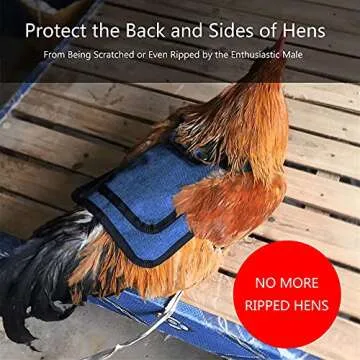 Thungeek 3 Pieces Premium Chicken Saddles with Stretchy Strap, Hen Saddle Sweater Clothes, Birds Protector for Back and Sides, Poultry Accessories for Hens, Suitable for 5-7.6lbs, Red & Blue & Purple