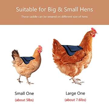 Thungeek 3 Pieces Premium Chicken Saddles with Stretchy Strap, Hen Saddle Sweater Clothes, Birds Protector for Back and Sides, Poultry Accessories for Hens, Suitable for 5-7.6lbs, Red & Blue & Purple