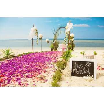 Fresh Orchid Flower OrchidClub USA Loose Bloom DIY Lei Food Drink Decoration (50YELLOW 50PURPLE)