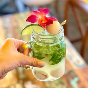 Fresh Orchid Flower OrchidClub USA Loose Bloom DIY Lei Food Drink Decoration (50YELLOW 50PURPLE)