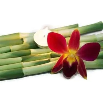 Fresh Orchid Flower OrchidClub USA Loose Bloom DIY Lei Food Drink Decoration (50YELLOW 50PURPLE)