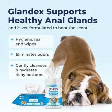 Vetnique Labs Glandex Dog Wipes for Pets Cleansing & Deodorizing Anal Gland Hygienic Dog & Cat Wipes with Vitamin E, Skin Conditioners and Aloe (100ct Pouch)