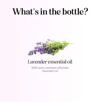 Pure Lavender Essential Oil - Premium Lavender Essential Oil for Hair Skin and Nails - Aromatherapy Lavender Oil for Diffusers Humidifiers and Linens Plus Natural Bath Oil for Home Spa Self Care
