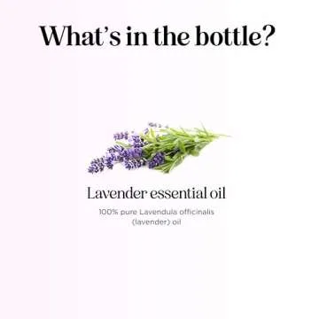 Pure Lavender Essential Oil - Premium Lavender Essential Oil for Hair Skin and Nails - Aromatherapy Lavender Oil for Diffusers Humidifiers and Linens Plus Natural Bath Oil for Home Spa Self Care