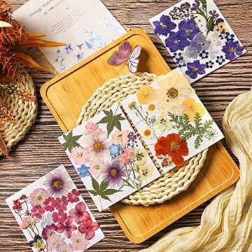 Nuanchu Pressed Flowers Bulk Dried Flower for Crafts, Dried Wildflowers Leave Natural with Tweezer f...