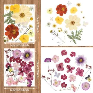 Nuanchu Pressed Flowers Bulk Dried Flower for Crafts, Dried Wildflowers Leave Natural with Tweezer for Resin Mold Scrapbooking Nail Soap Making DIY(Fashion Style,Trend Color)