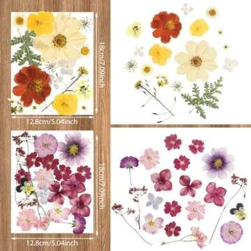 Nuanchu Pressed Flowers Bulk Dried Flower for Crafts, Dried Wildflowers Leave Natural with Tweezer for Resin Mold Scrapbooking Nail Soap Making DIY(Fashion Style,Trend Color)