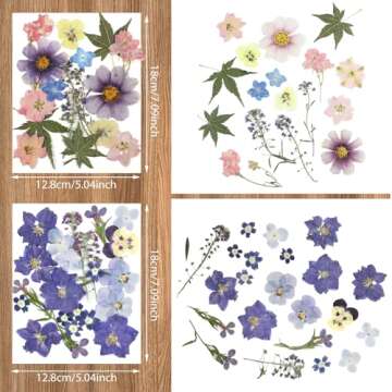 Nuanchu Pressed Flowers Bulk Dried Flower for Crafts, Dried Wildflowers Leave Natural with Tweezer for Resin Mold Scrapbooking Nail Soap Making DIY(Fashion Style,Trend Color)