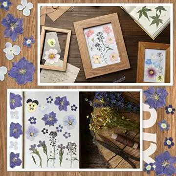 Nuanchu Pressed Flowers Bulk Dried Flower for Crafts, Dried Wildflowers Leave Natural with Tweezer for Resin Mold Scrapbooking Nail Soap Making DIY(Fashion Style,Trend Color)