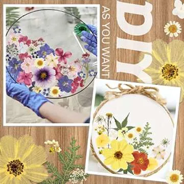 Nuanchu Pressed Flowers Bulk Dried Flower for Crafts, Dried Wildflowers Leave Natural with Tweezer for Resin Mold Scrapbooking Nail Soap Making DIY(Fashion Style,Trend Color)