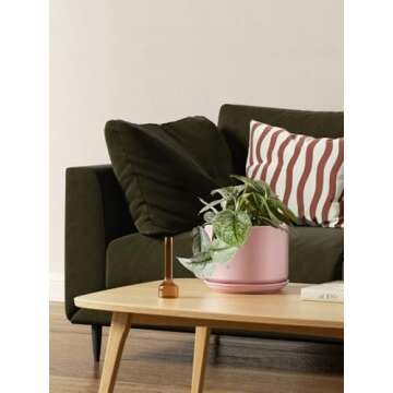 LE TAUCI Ceramic Plant Pots Set - 3 Sizes with Drainage