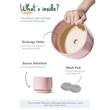 LE TAUCI Ceramic Plant Pots Set - 3 Sizes with Drainage